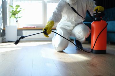 Cost of Pest Control in Richardson, TX